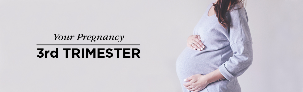 Your Rd Trimester Week By Week Pregnancy
