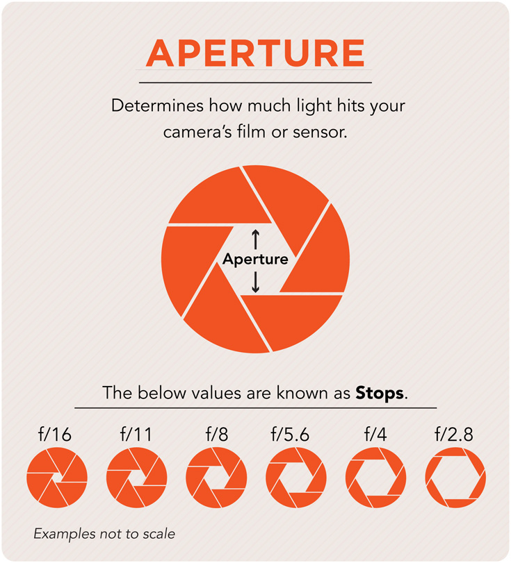 Photography Terms Glossary | Shutterfly