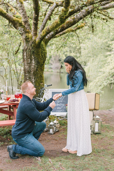 90 Romantic  Proposal  Ideas  Shutterfly