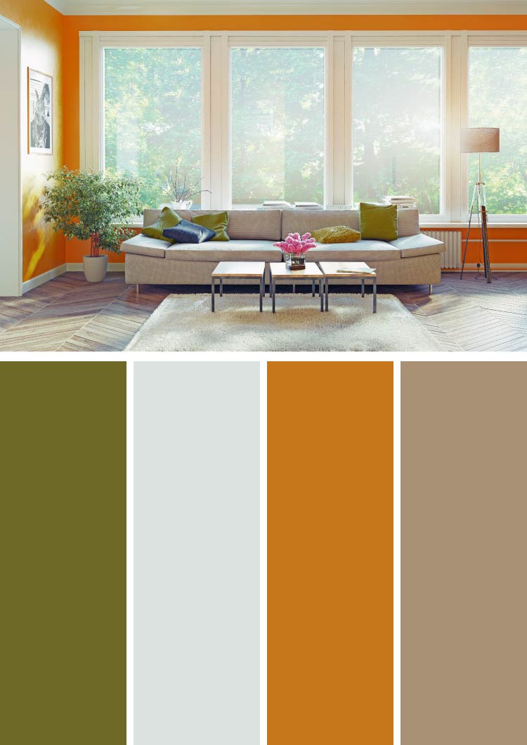 Colors That Go With Olive Green — 10 Creative Combinations
