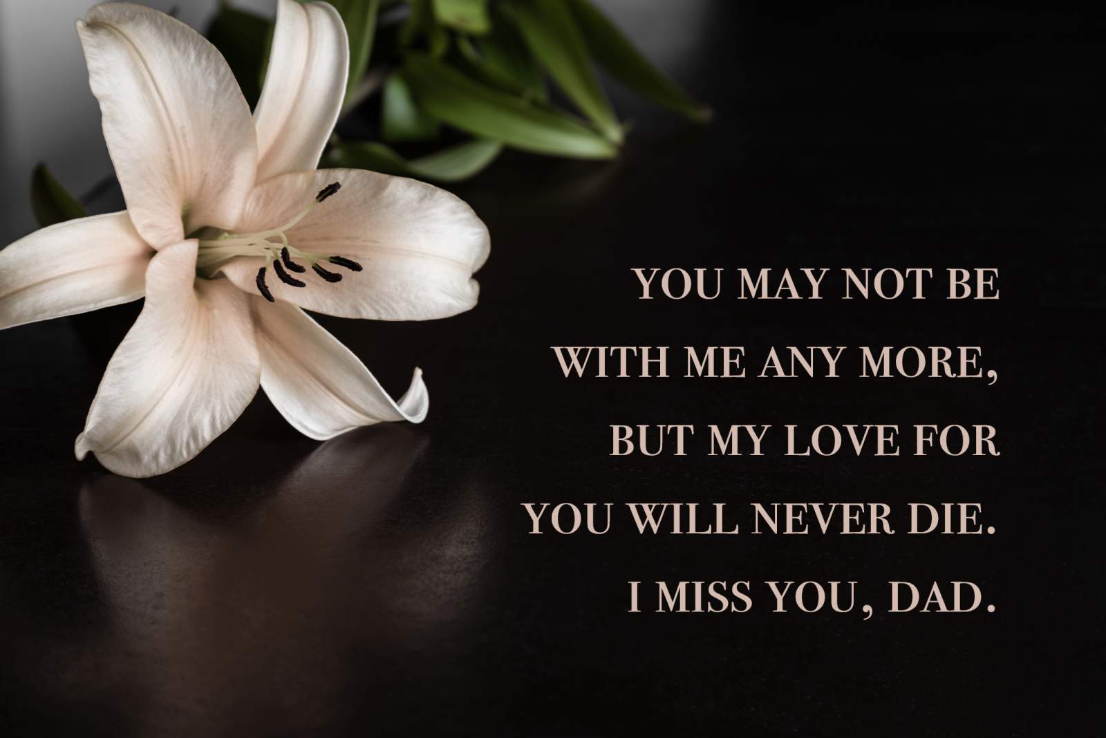 40 Miss You Dad Quotes Poems And Messages Shutterfly 
